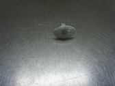 Front fender indicator light