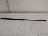 Front bonnet/hood damper/strut