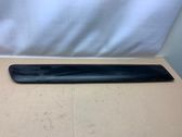 Rear door trim (molding)