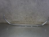 Engine hood trim