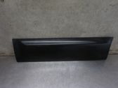 Rear door trim (molding)