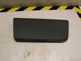 Front door trim (molding)