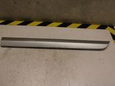 Rear door trim (molding)