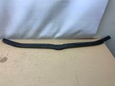 Engine hood trim