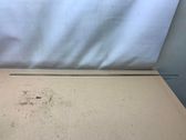 Front door trim (molding)