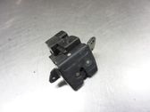 Tailgate/trunk/boot lock/catch/latch