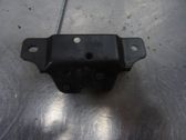 Tailgate/trunk/boot lock/catch/latch