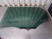 Fenster Scheibe Tür hinten