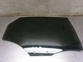 Rear door window glass