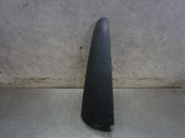 Rear/tail light trim molding