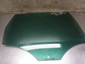 Rear door window glass