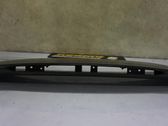 Tailgate/trunk spoiler