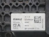 EGR valve cooler