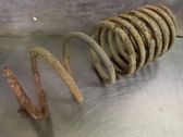Rear coil spring