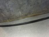 Tailgate/trunk spoiler