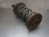 Front shock absorber with coil spring