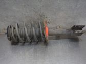 Front shock absorber with coil spring