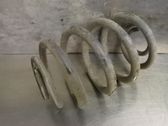 Rear coil spring