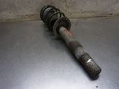 Front shock absorber with coil spring