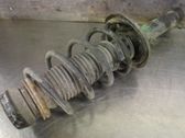 Front shock absorber with coil spring