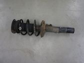 Front shock absorber with coil spring