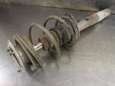 Front shock absorber with coil spring