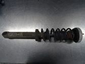 Stoßdämpfer hinten