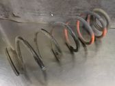 Rear coil spring