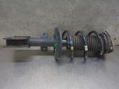 Front shock absorber with coil spring