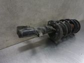 Front shock absorber with coil spring