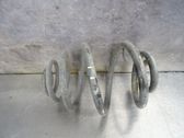 Rear coil spring