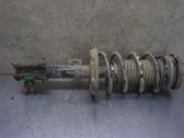 Front shock absorber with coil spring