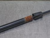 Tailgate strut