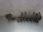 Front shock absorber with coil spring