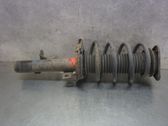 Front shock absorber with coil spring