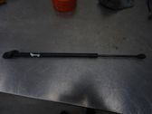 Tailgate strut