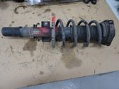 Front shock absorber with coil spring