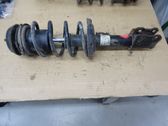 Front shock absorber with coil spring