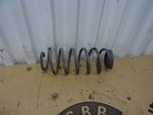 Rear coil spring