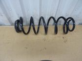 Rear coil spring