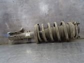 Front shock absorber with coil spring