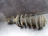 Front shock absorber with coil spring