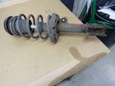 Front shock absorber with coil spring
