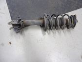 Front shock absorber with coil spring
