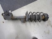 Front shock absorber with coil spring