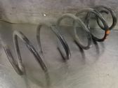 Rear coil spring