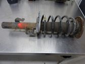 Front shock absorber with coil spring