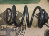 Rear coil spring
