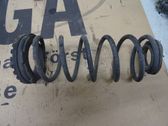 Feder hinten