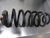 Rear coil spring
